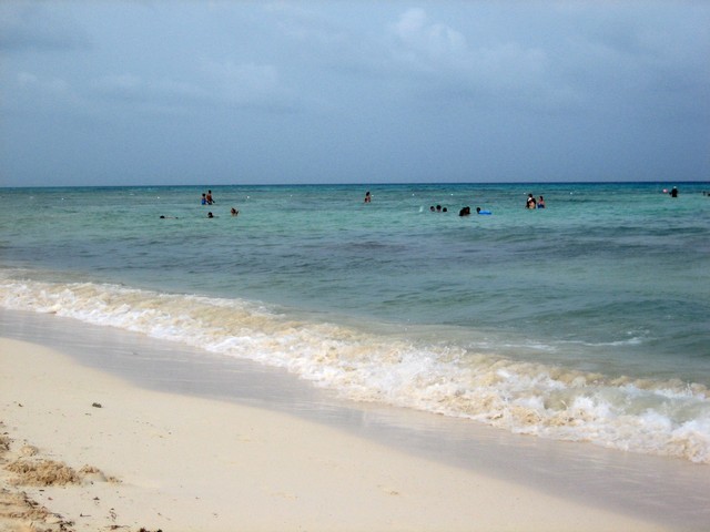 ./IMG_7086.JPG