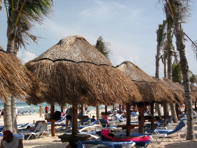 ./IMG_8734.JPG