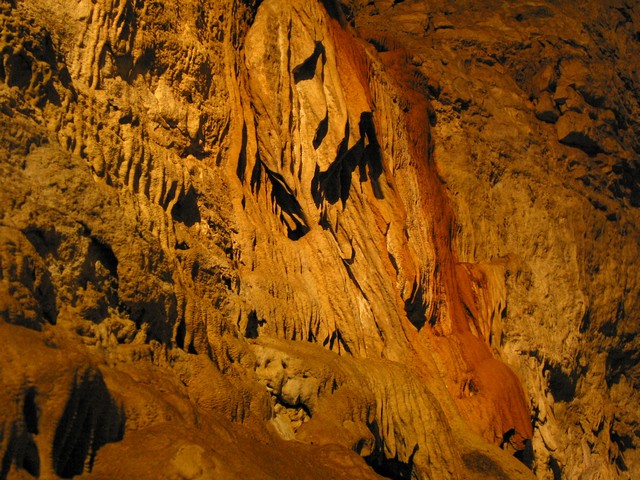 ./IMG_8810.JPG