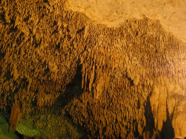 ./IMG_8814.JPG