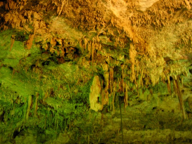 ./IMG_8817.JPG
