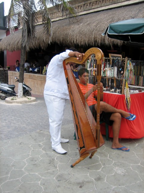 ./IMG_6937.JPG