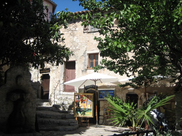 ./IMG_4491.JPG
