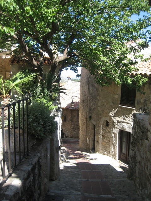 ./IMG_4495.JPG