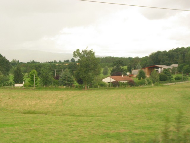 ./IMG_7549.JPG