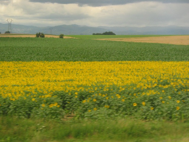 ./IMG_7554.JPG