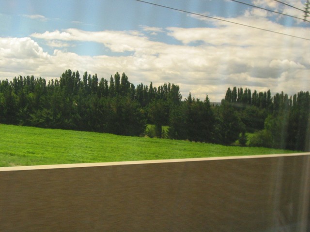 ./IMG_7560.JPG