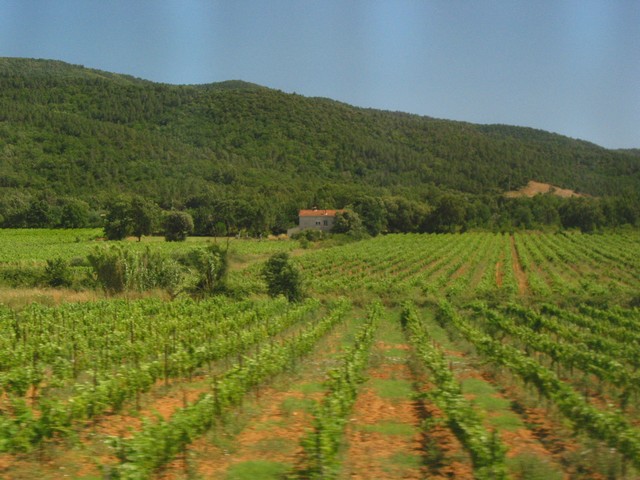 ./IMG_7573.JPG