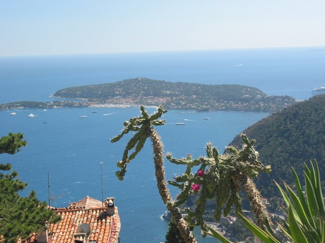 ./IMG_7686.JPG