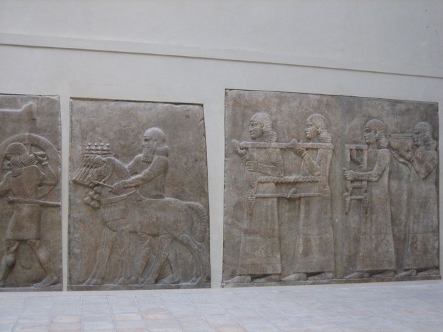 ./IMG_4350.JPG