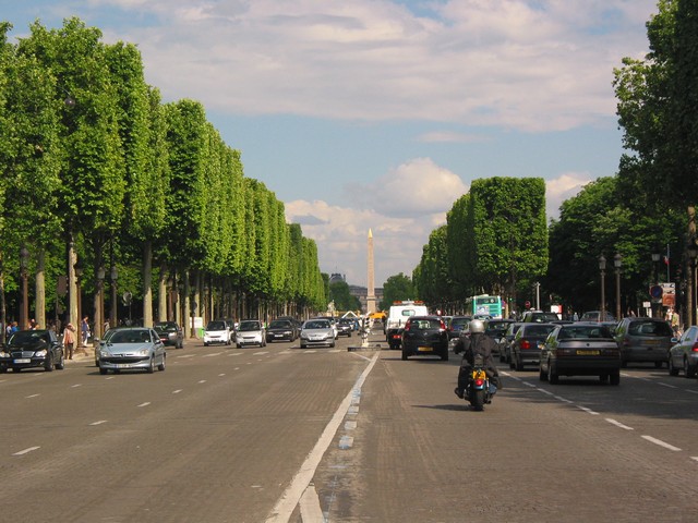 ./IMG_7229.JPG