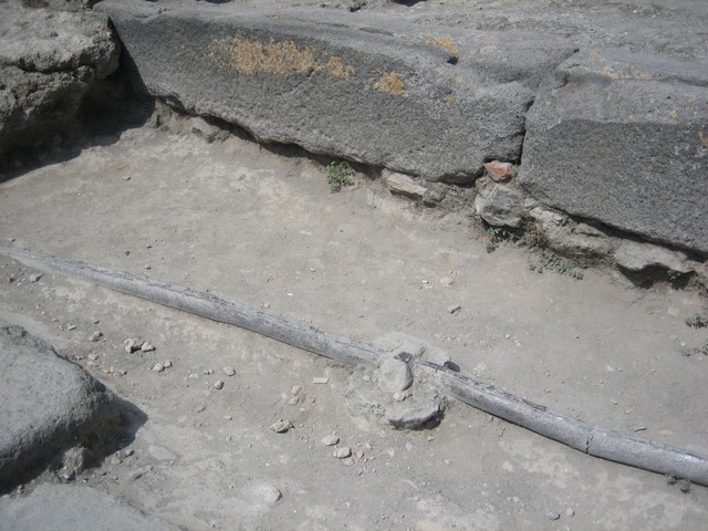 ./IMG_5149.JPG