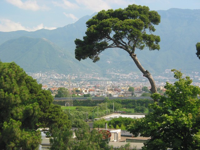 ./IMG_8242.JPG