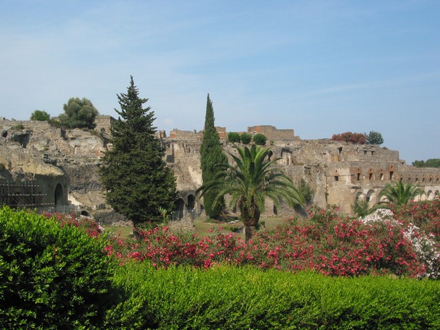 ./IMG_8243.JPG
