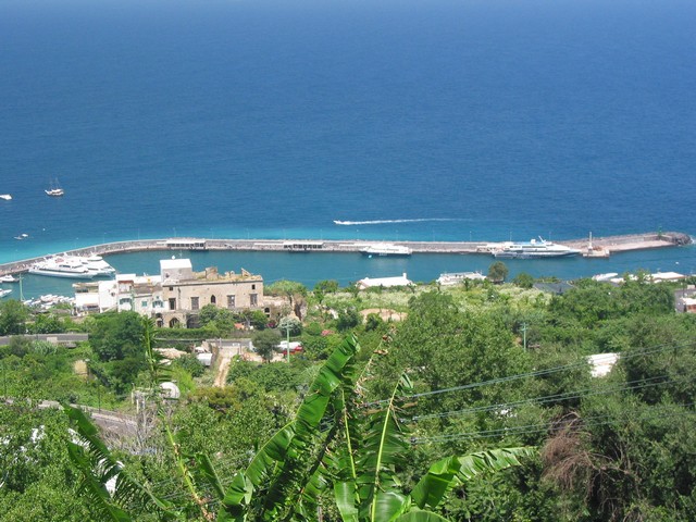 ./IMG_8264.JPG