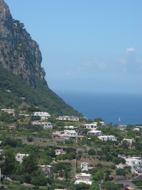 ./IMG_8266.JPG