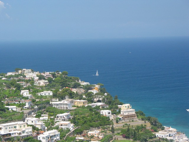 ./IMG_8269.JPG