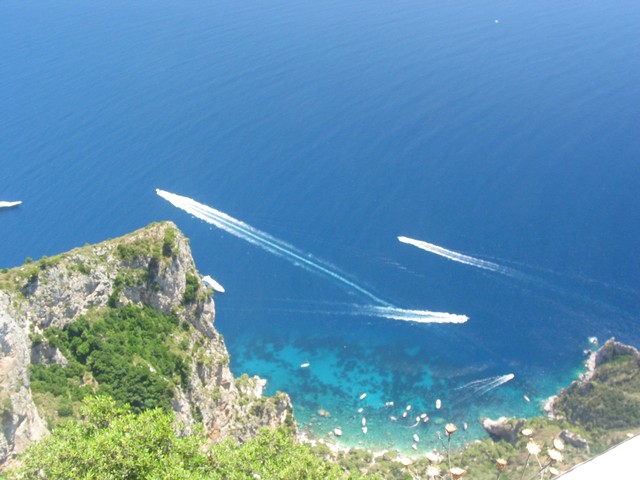 ./IMG_8284.JPG