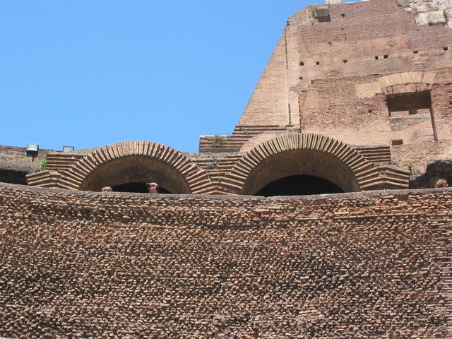 ./IMG_8485.JPG