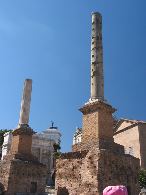 ./IMG_8559.JPG