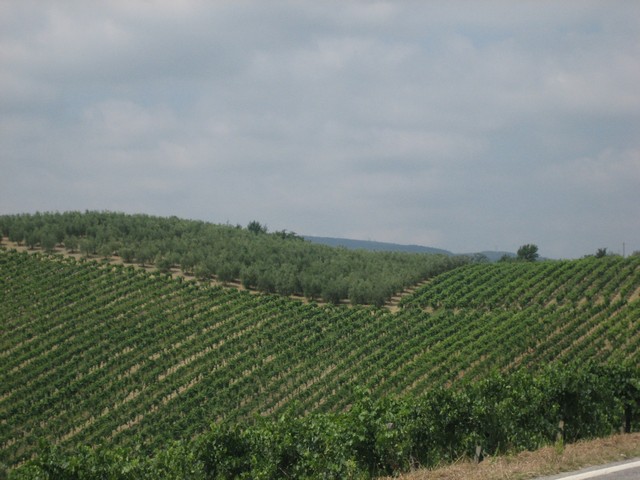 ./IMG_4765.JPG
