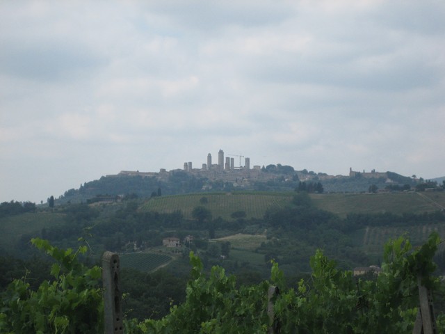 ./IMG_4768.JPG