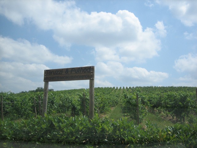 ./IMG_4771.JPG
