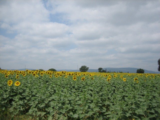 ./IMG_4787.JPG