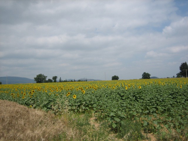 ./IMG_4789.JPG