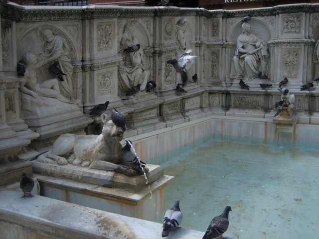 ./IMG_4805.JPG