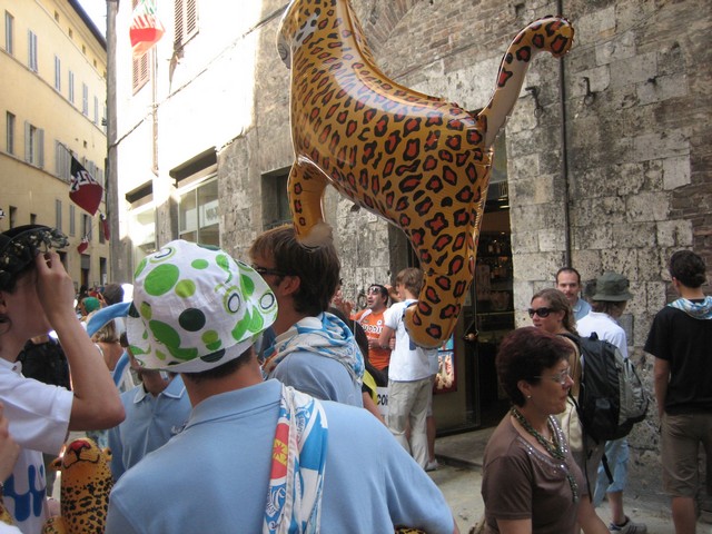 ./IMG_4839.JPG