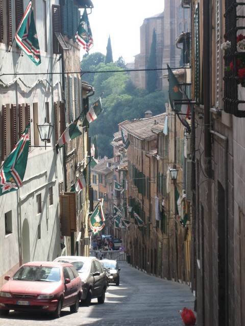 ./IMG_4840.JPG
