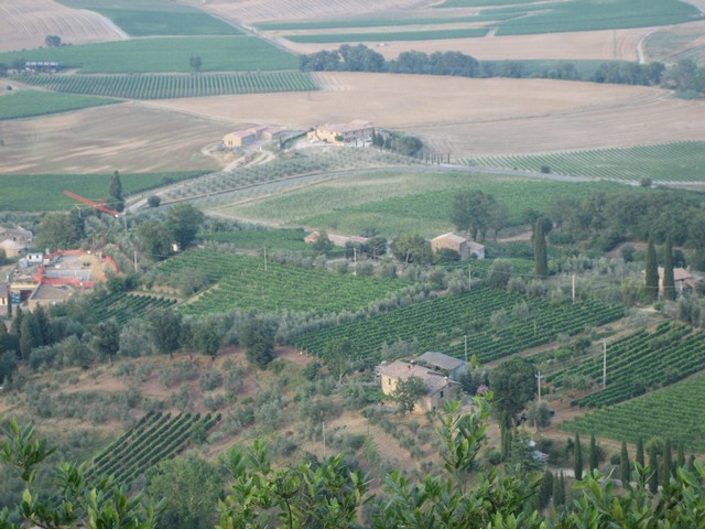 ./IMG_4867.JPG