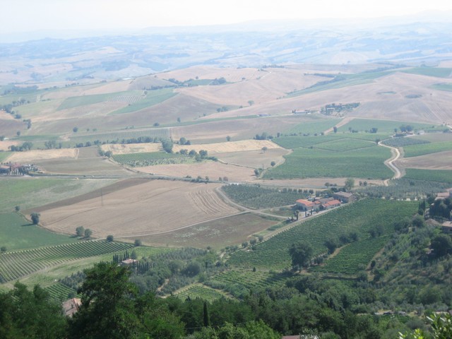 ./IMG_4879.JPG