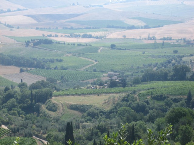 ./IMG_4882.JPG