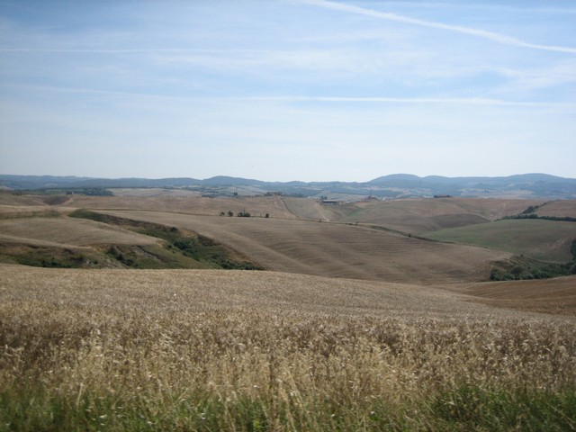 ./IMG_4893.JPG