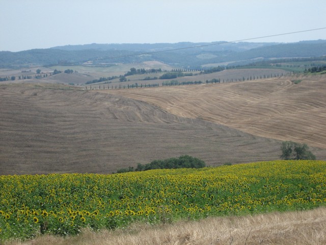 ./IMG_4895.JPG