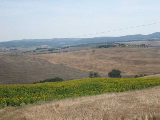 ./IMG_4897.JPG