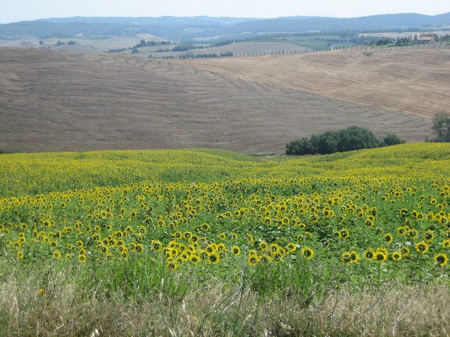 ./IMG_4900.JPG