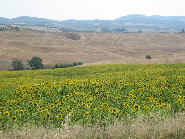 ./IMG_4901.JPG