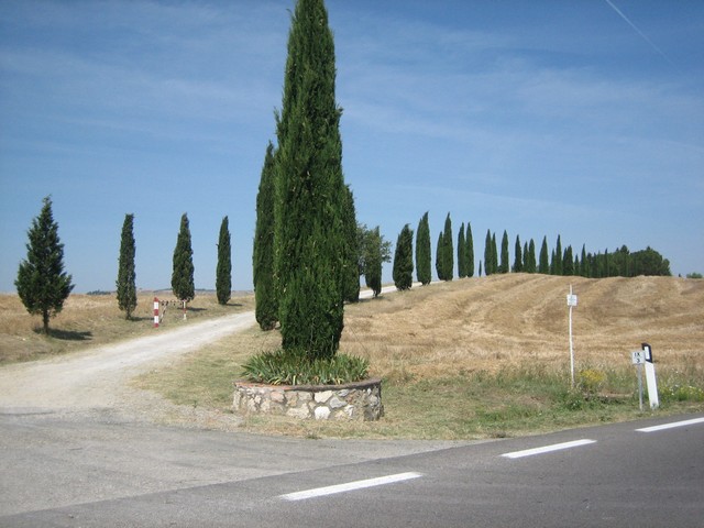 ./IMG_4916.JPG