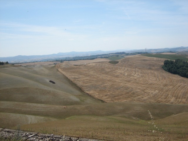 ./IMG_4942.JPG