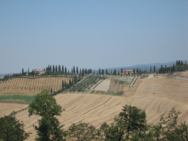 ./IMG_4949.JPG