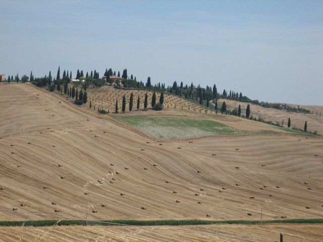 ./IMG_4953.JPG