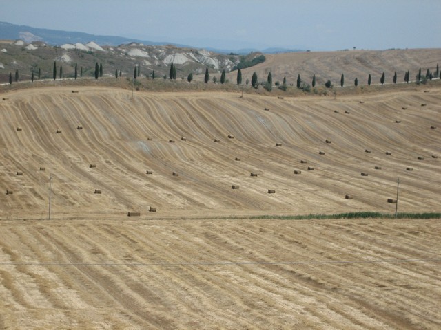 ./IMG_4958.JPG