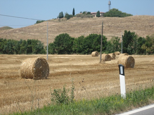 ./IMG_4961.JPG