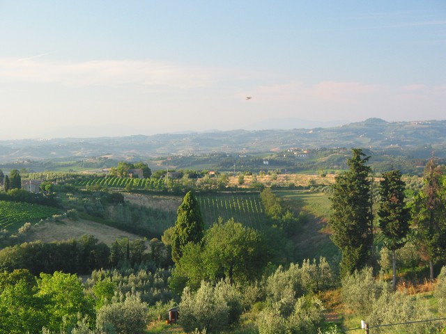 ./IMG_7809.JPG