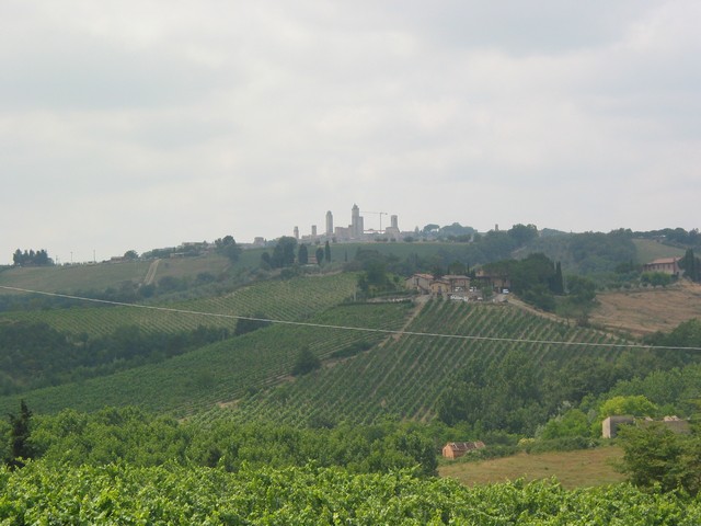 ./IMG_7855.JPG