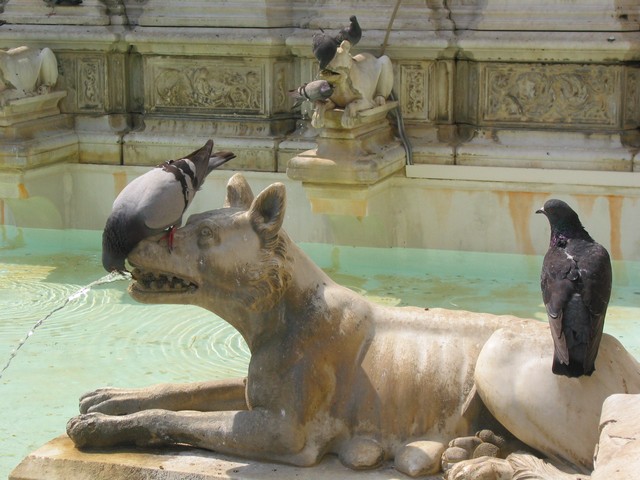 ./IMG_7887.JPG