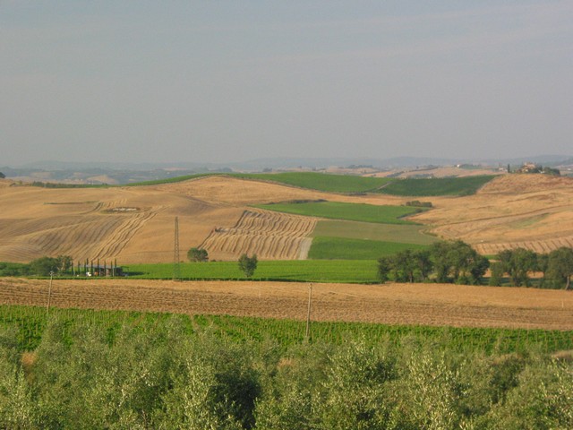 ./IMG_7933.JPG